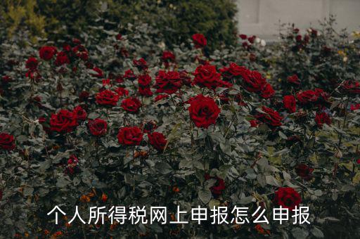 福建個(gè)人納稅如何申報(bào)，個(gè)人所得稅網(wǎng)上申報(bào)怎么申報(bào)