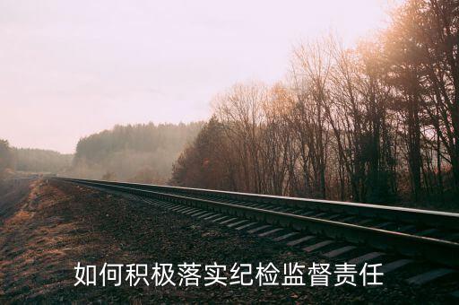 如何積極落實紀(jì)檢監(jiān)督責(zé)任