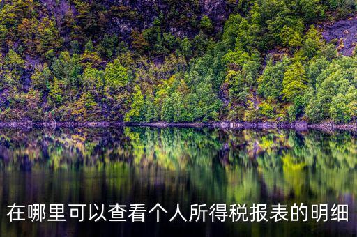 在哪里可以查看個人所得稅報表的明細