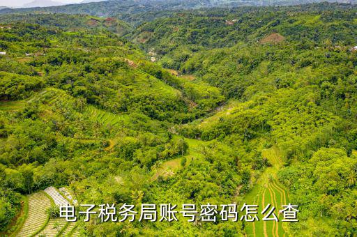國(guó)稅賬戶如何查詢系統(tǒng)，電子稅務(wù)局賬號(hào)密碼怎么查