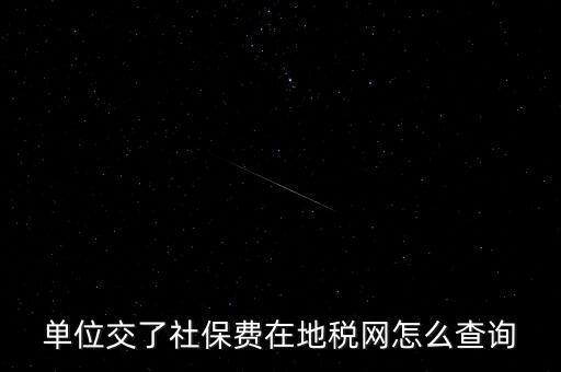 單位交了社保費在地稅網怎么查詢