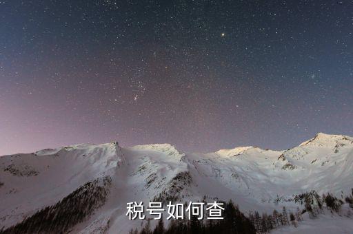 如何查詢公司稅務(wù)編號(hào)查詢，如何通過(guò)企業(yè)注冊(cè)號(hào)查詢企業(yè)稅務(wù)登記證號(hào)