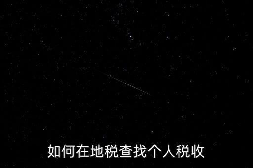 地稅局如何查個人所得稅，如何在地稅查找個人稅收