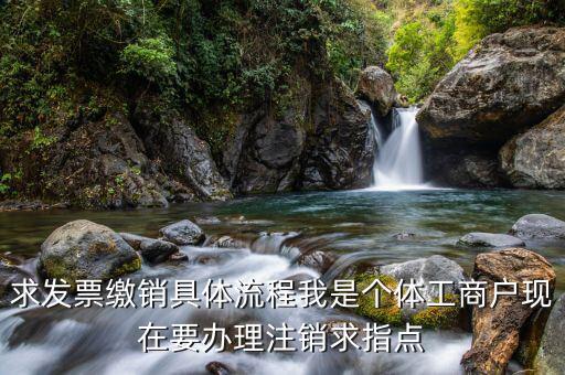 求發(fā)票繳銷具體流程我是個體工商戶現(xiàn)在要辦理注銷求指點(diǎn)