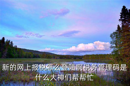 新的網上報稅怎么登陸啊稅務管理碼是什么大神們幫幫忙