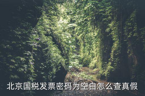 北京國稅發(fā)票真?zhèn)稳绾尾樵?，北京國稅發(fā)票密碼為空白怎么查真假