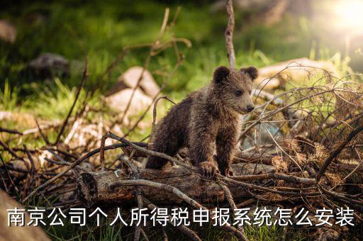 如何安裝金稅三期個(gè)稅安裝包，金稅三期在哪里下載