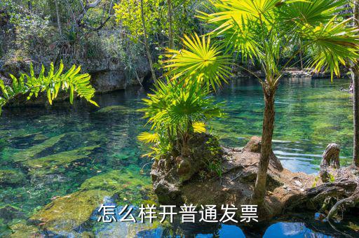如何搞增值稅普通發(fā)票，怎么樣在電腦上開增值稅普通發(fā)票