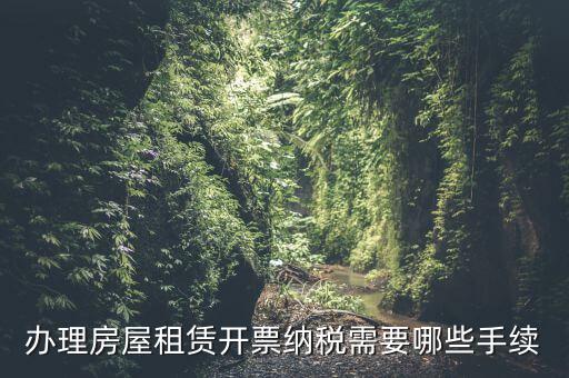 租房如何開增值稅專票，房屋租賃可以開增值稅專用發(fā)票嗎