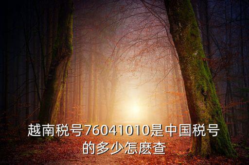 中國如何查個(gè)人稅號(hào)，越南稅號(hào)76041010是中國稅號(hào)的多少怎麼查