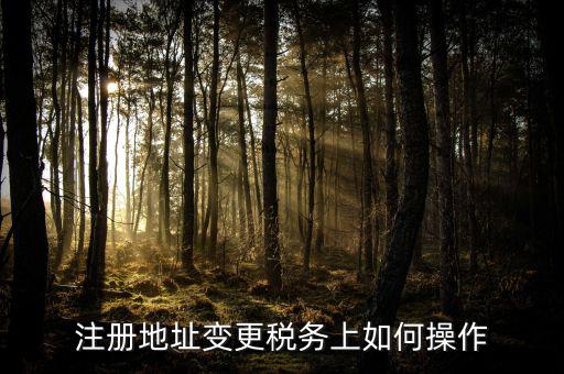 稅務(wù)官網(wǎng)地址如何變更，注冊(cè)地址變更稅務(wù)上如何操作
