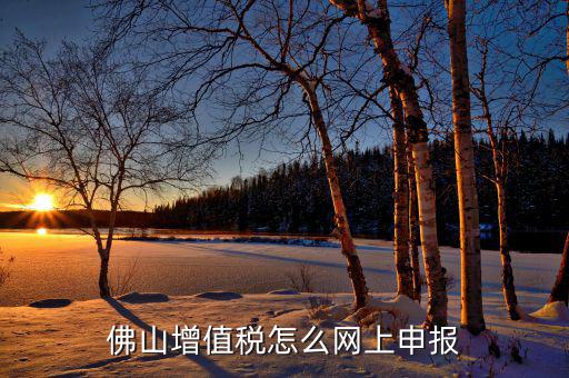 佛山地稅如何網(wǎng)上申報，佛山增值稅怎么網(wǎng)上申報