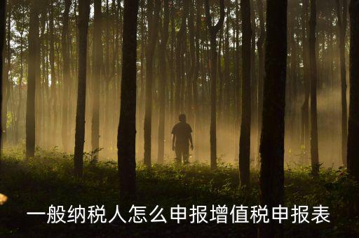 增值一般納稅人國(guó)稅如何申報(bào)，一般納稅人怎么申報(bào)增值稅申報(bào)表