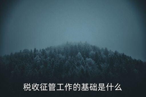 國稅如何夯實征管基礎，稅收征管工作的基礎是什么