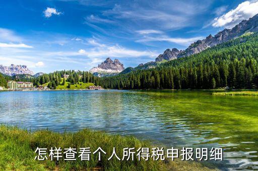 怎樣查看個人所得稅申報明細