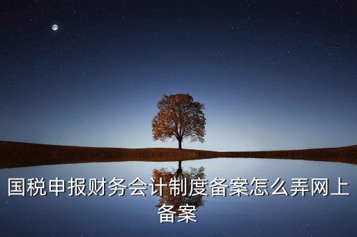 電子稅務(wù)局如何會計(jì)制度備案，2017年電子稅務(wù)局財(cái)務(wù)報(bào)表備案是不是可以馬上填寫