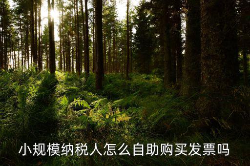 如何在自助機(jī)領(lǐng)購(gòu)發(fā)票，小規(guī)模納稅人怎么自助購(gòu)買(mǎi)發(fā)票嗎