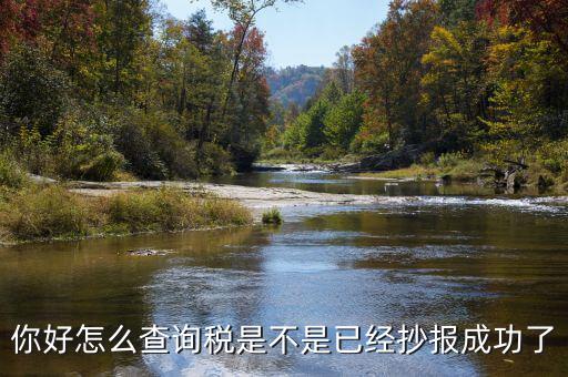 如何查看抄報成功，稅控發(fā)票開票軟件怎么看網(wǎng)上抄報成功沒有