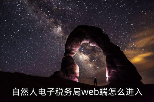 網(wǎng)上稅務(wù)局如何以自然人登錄，電子稅務(wù)局有哪幾種登錄方式