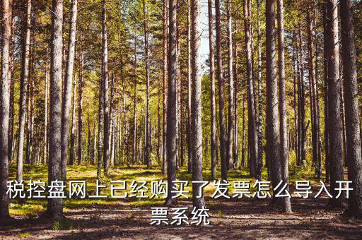 如何進(jìn)入開票系統(tǒng)，怎么進(jìn)入國家稅務(wù)局發(fā)票填開系統(tǒng)
