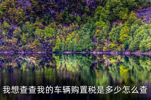 如何看購置稅發(fā)票，我想查查我的車輛購置稅是多少怎么查