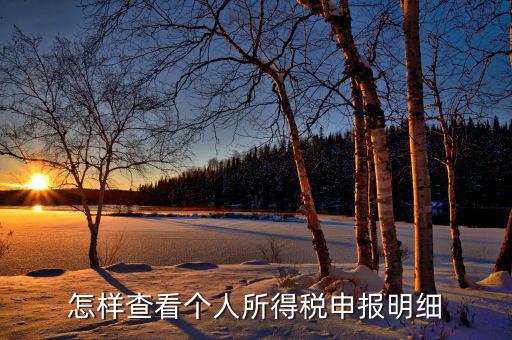 如何查詢個(gè)人所得稅明細(xì)申報(bào)，怎樣查看個(gè)人所得稅申報(bào)明細(xì)