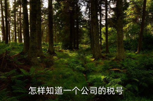 怎樣知道一個(gè)公司的稅號