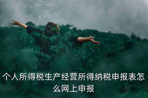 生產(chǎn)經(jīng)營所得如何網(wǎng)上申報，個體工商戶網(wǎng)上申報怎么做