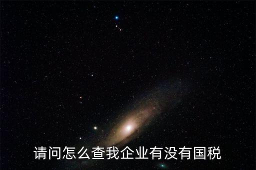 企業(yè)如何查詢國(guó)稅繳稅，怎樣查詢國(guó)稅繳稅信息