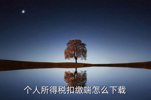如何下載自然人扣繳客戶端，重慶市自然人電子稅務局扣繳端怎么下載