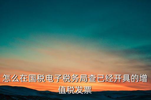 怎么在國稅電子稅務局查已經(jīng)開具的增值稅發(fā)票