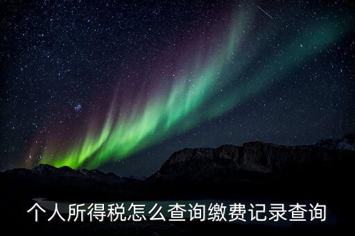 金稅三期個人所得稅如何查詢，個人所得稅怎么查詢繳費記錄查詢
