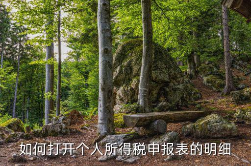 如何打開個人所得稅申報表的明細