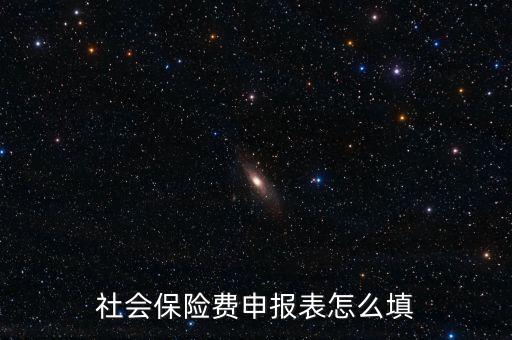 稅務(wù)系統(tǒng)社保費(fèi)申報(bào)表如何填報(bào)，社會(huì)保險(xiǎn)費(fèi)申報(bào)表怎么填