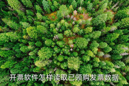 發(fā)票數(shù)據(jù)如何采集，開票軟件怎樣讀取已領購發(fā)票數(shù)據(jù)