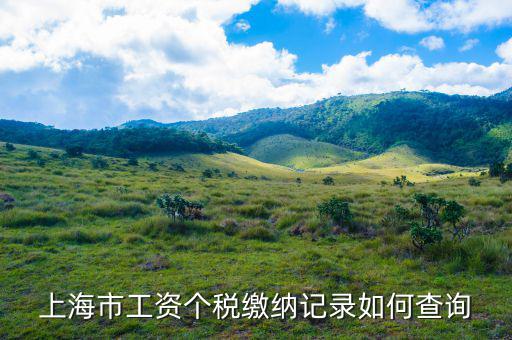 上海如何查納稅記錄，上海市工資個稅繳納記錄如何查詢