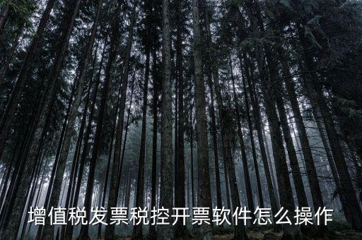百望開(kāi)票軟件如何開(kāi)票，百望開(kāi)票系統(tǒng)發(fā)票抬頭有符號(hào)怎么打
