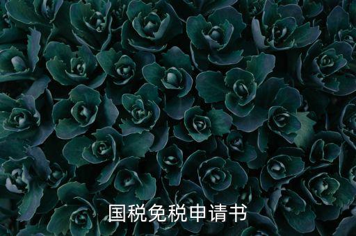 江西國(guó)稅抵稅如何申請(qǐng)表，小規(guī)模納稅人國(guó)稅免稅咋填地稅報(bào)表