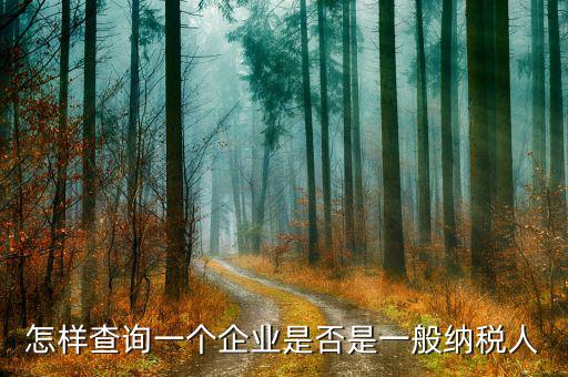 遼寧如何查一般納稅人，怎樣查詢一個(gè)企業(yè)是否是一般納稅人