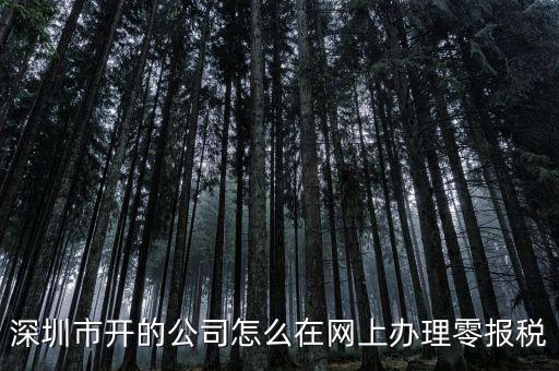 深圳如何在網(wǎng)上辦理納稅，深圳市開(kāi)的公司怎么在網(wǎng)上辦理零報(bào)稅