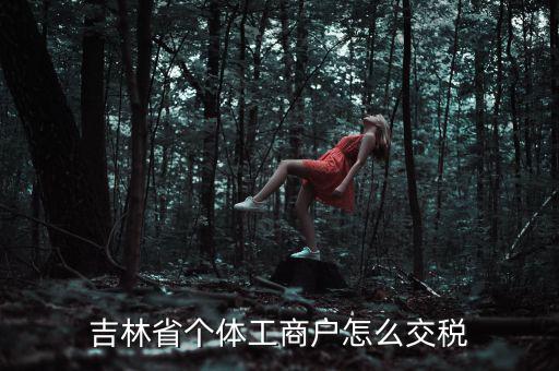 吉林個(gè)人所得稅如何申報(bào)，個(gè)人所得稅申報(bào)問題吉林省