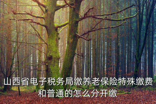 山西養(yǎng)老保險如何和國稅局對接，交養(yǎng)老保險交到國家稅務總局怎么辦