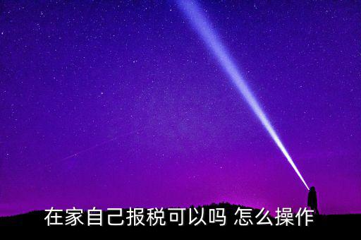 如何自行申報(bào)納稅，在家自己報(bào)稅可以嗎 怎么操作