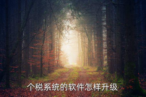個(gè)稅系統(tǒng)的軟件怎樣升級(jí)