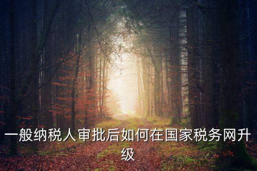 一般納稅人審批后如何在國家稅務網(wǎng)升級