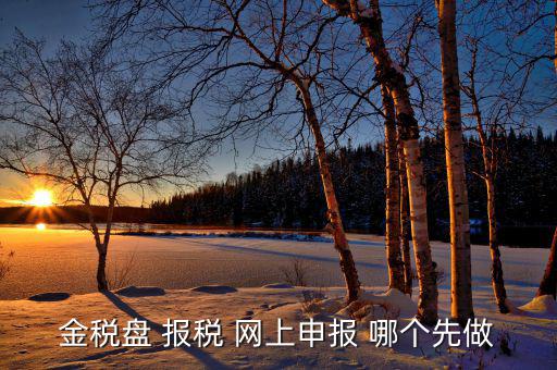金稅盤如何網(wǎng)上申報(bào)，求金稅盤如何在電腦上報(bào)稅操作流程