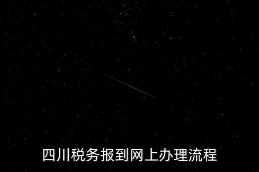 四川企業(yè)地稅如何網(wǎng)上申報(bào)系統(tǒng)，稅務(wù)申報(bào)如何網(wǎng)上申報(bào)