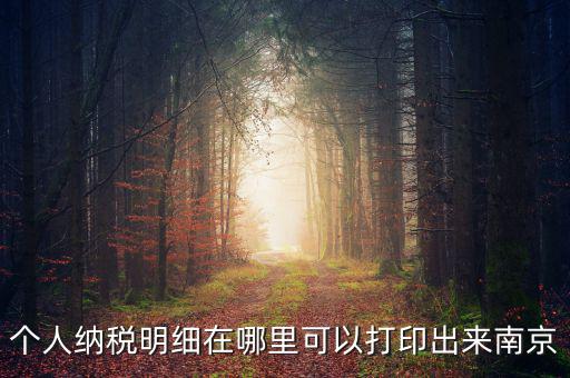 如何打印個稅明細，個人納稅明細在哪里可以打印出來南京