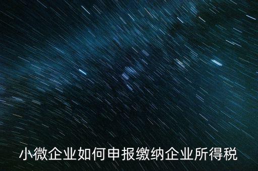 小企業(yè)如何繳納所得稅，小規(guī)模企業(yè)所得稅怎么交納