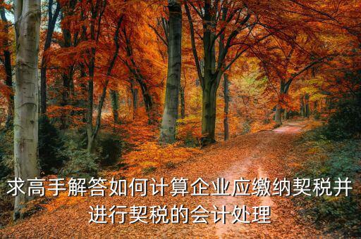 求高手解答如何計(jì)算企業(yè)應(yīng)繳納契稅并進(jìn)行契稅的會計(jì)處理